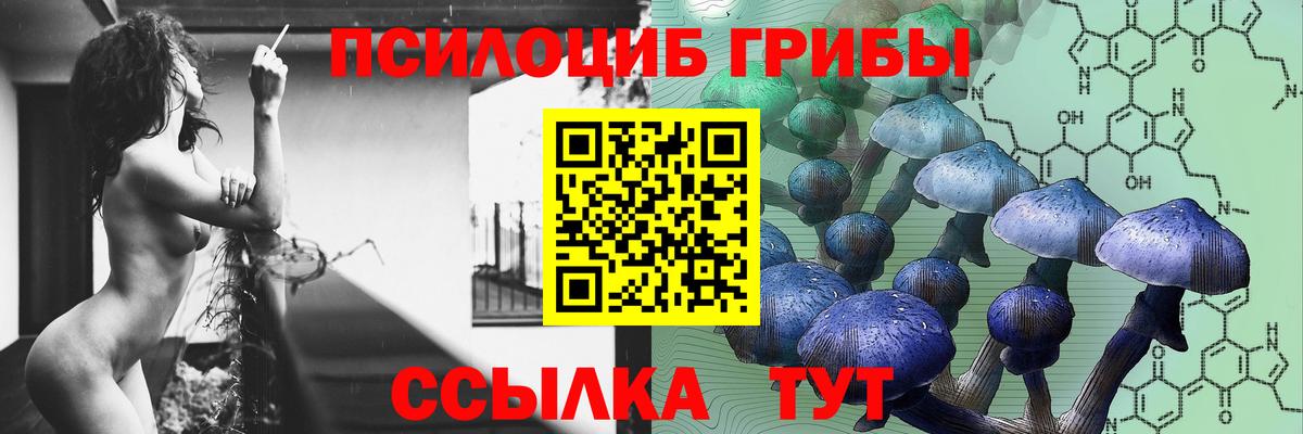 Галлюциногенные грибы ЛСД Курганинск