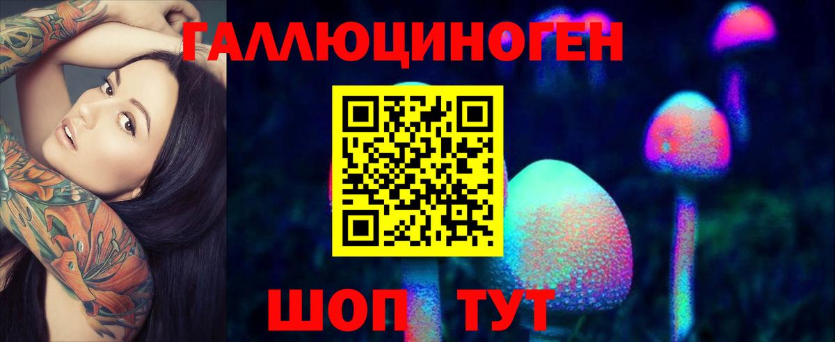 Псилоцибиновые грибы мухоморы  Вход с VPN  Курганинск 