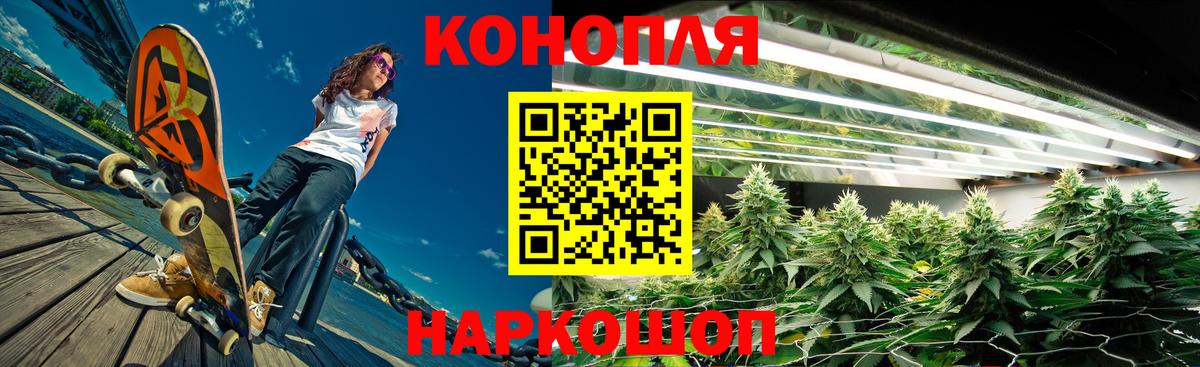 Бошки марихуана план  МАРИХУАНА сатива  Вход с VPN  Курганинск  Каннабис тримм 